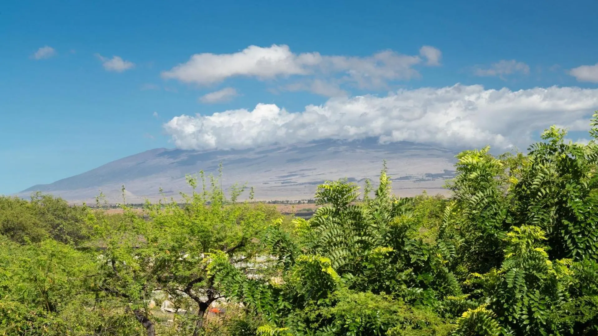 Pineapple Hale Lovely 4Br Kamilo Home With Private Beach Access ワイコロアビレッジ 別荘